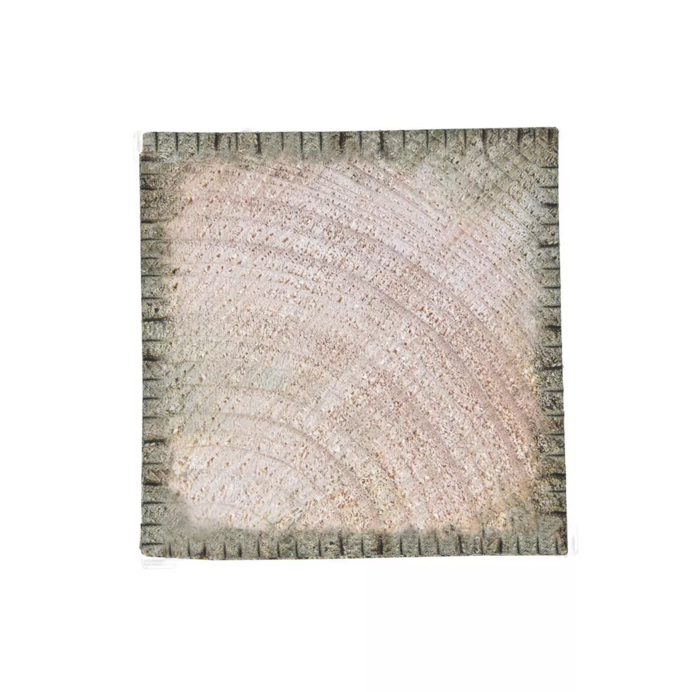 Forest Fence Posts 75 X 75mm X 1800mm 5 Pack 7 Forest Fence Posts 75 X 75mm X 1800mm 5 Pack - Image 5