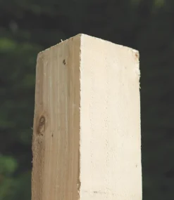 Forest Fence Posts 75 X 75mm X 2.4m 11 Pack