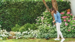 Bosch EasyGrassCut 26 280W 240V Grass Trimmer -Cheap Garden Spreader Store 255RG A1