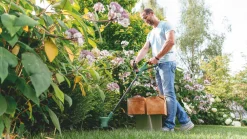 Bosch EasyGrassCut 26 280W 240V Grass Trimmer -Cheap Garden Spreader Store 255RG A2