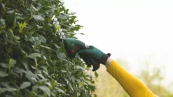 Bosch Isio 3.6V 1 X 1.5Ah Li-Ion Cordless Grass & Shrub Shear -Cheap Garden Spreader Store 276PF A4