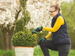 Bosch Isio 3.6V 1 X 1.5Ah Li-Ion Cordless Grass & Shrub Shear -Cheap Garden Spreader Store 276PF A6