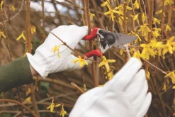 Spear And Jackson Spear & Jackson Bypass Razorsharp Left-Handed Secateurs 8 1/2" (213mm) -Cheap Garden Spreader Store 282KG A2