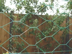 Apollo® Apollo 13mm PVC-Coated Wire Netting 1 X 10m -Cheap Garden Spreader Store 34118 A2