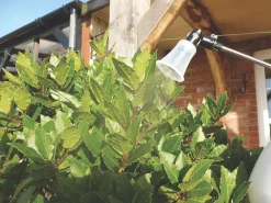 Solo SO402 White Handheld Sprayer 2Ltr 10 Solo SO402 White Handheld Sprayer 2Ltr -Cheap Garden Spreader Store 4738J A3