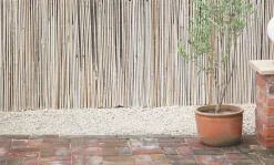 Apollo® Apollo Bamboo Garden Screen 4 X 2m