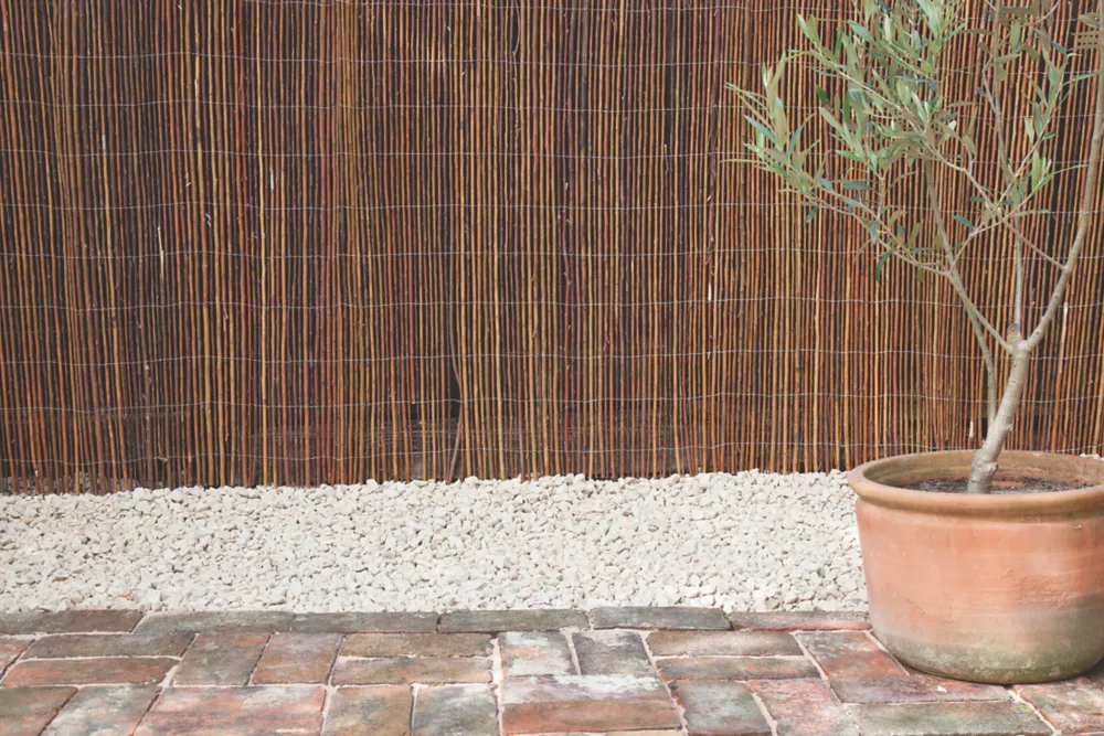 Apollo® Apollo Willow Roll-Up Screening 4 X 1m 6 Apollo® Apollo Willow Roll-Up Screening 4 X 1m - Image 4