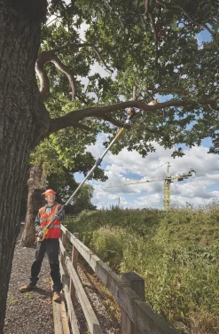 DeWalt DCMPS567P1 18V 1 X 5.0Ah Li-Ion XR Brushless Cordless 20cm Pole Saw -Cheap Garden Spreader Store 586JT A6