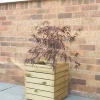 Forest Square Linear Planter Natural Wood 400 X 400 X 440mm -Cheap Garden Spreader Store 6206X P