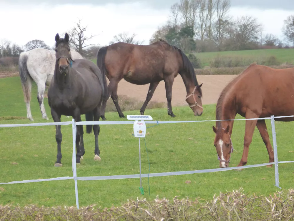 Stockshop SX250 Solar-Powered Electric Fence Energiser Battery-Powered 5 Stockshop SX250 Solar-Powered Electric Fence Energiser Battery-Powered - Image 3