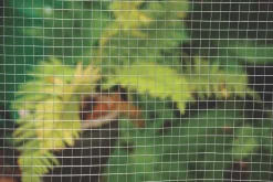 Apollo® Apollo 25 X 25mm Galvanised Welded Mesh 0.9 X 6m -Cheap Garden Spreader Store 76511 A3