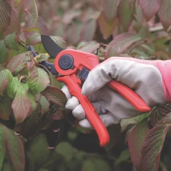 Spear And Jackson Spear & Jackson Anvil Razorsharp Active Secateurs 8 1/4" (210mm) -Cheap Garden Spreader Store 989KG A2