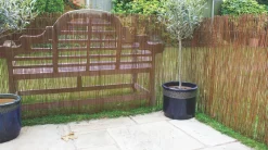 Apollo® Apollo Fern Roll-Up Screen 4 X 1m -Cheap Garden Spreader Store 992JG A2