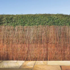 Apollo® Apollo Fern Roll-Up Screen 4 X 1m