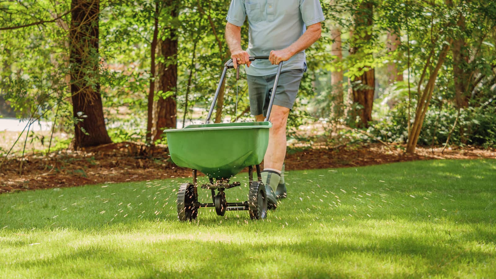 Cheap Garden Spreader Store -Cheap Garden Spreader Store man pushing broadcast spreader